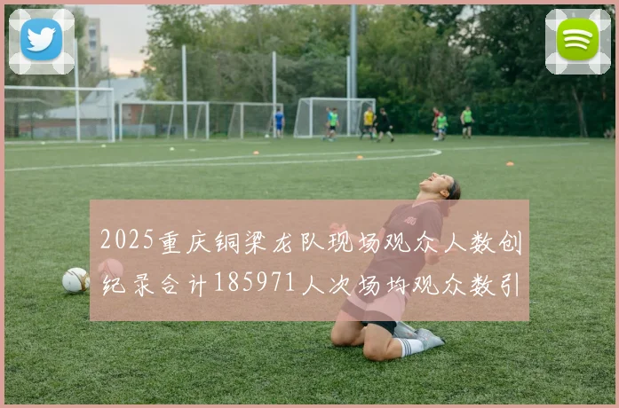 2025重庆铜梁龙队现场观众人数创纪录合计185971人次场均观众数引发热议