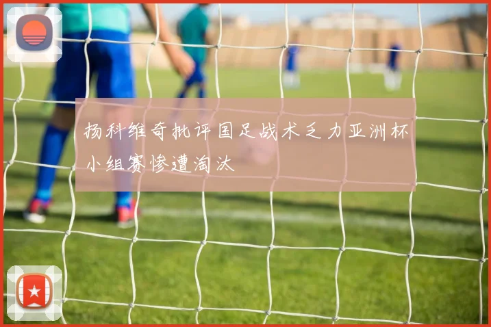 扬科维奇批评国足战术乏力亚洲杯小组赛惨遭淘汰