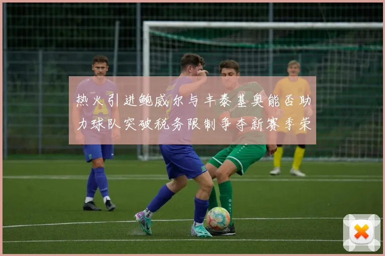 热火引进鲍威尔与丰泰基奥能否助力球队突破税务限制争夺新赛季荣誉